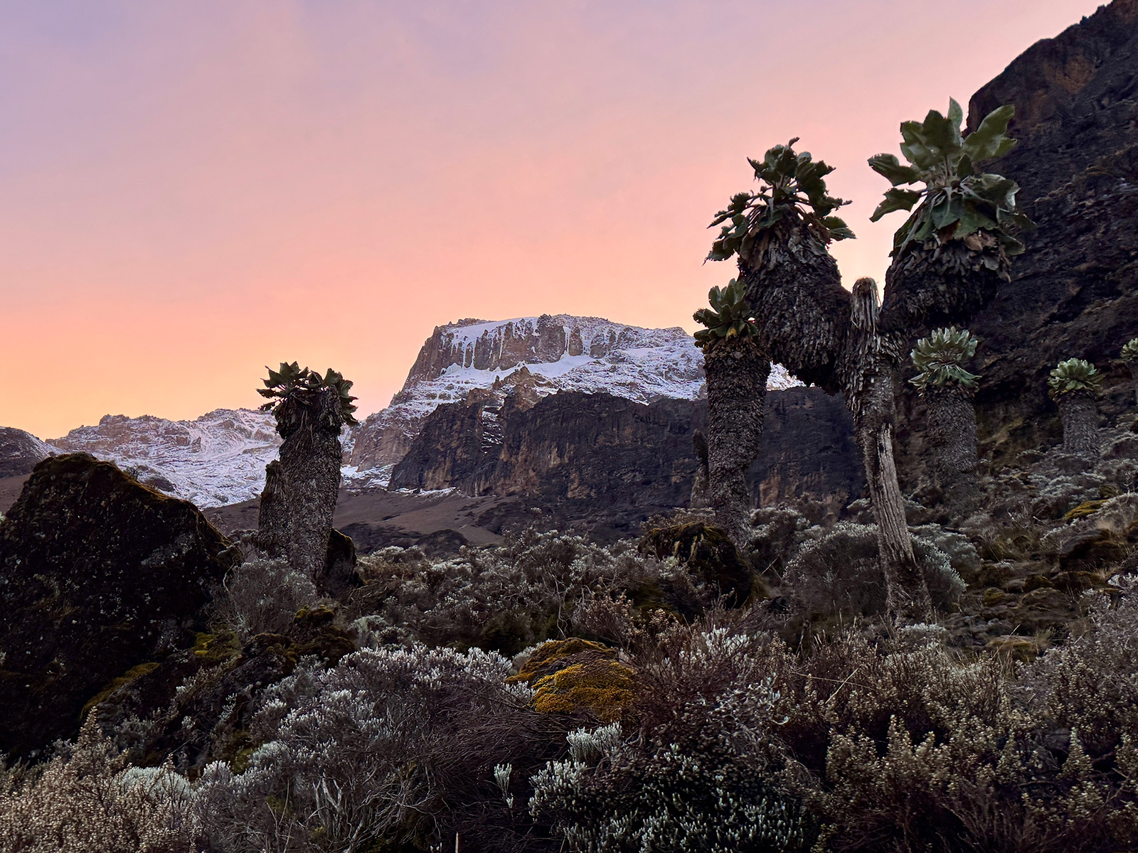 Views from Kilimanjaro National Park