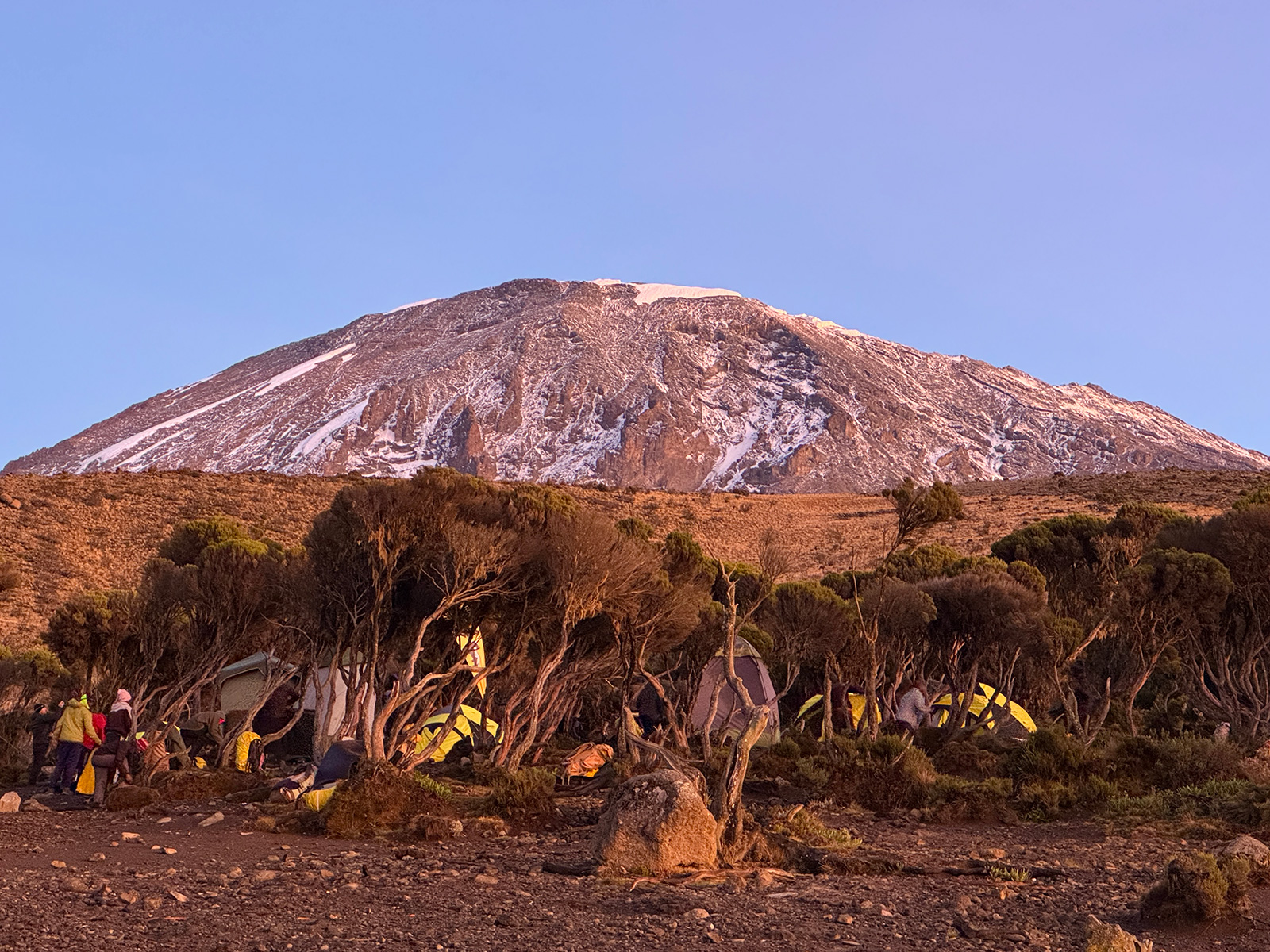 Views from Kilimanjaro National Park